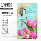 Ложка чайная с гравировкой «Любимой сестре», h=14 см - Фото 1