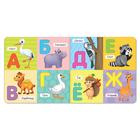 Набор картонных книг «Изучаем всё вокруг», 3 шт. по 10 стр. 7471896