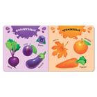 Набор картонных книг «Изучаем всё вокруг», 3 шт. по 10 стр. 7471896