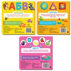 Набор картонных книг «Изучаем всё вокруг», 3 шт. по 10 стр. 7471896