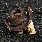 Декор для аквариума «Череп», 7×7×7 см - Фото 2