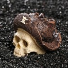 Декор для аквариума «Череп», 7×7×7 см - Фото 4