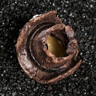 Декор для аквариума «Череп», 7×7×7 см - Фото 5