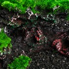 Декор для аквариума «Скалы», 17×9×8 см - Фото 3