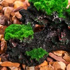 Декор для аквариума «Скалы», 17×9×8 см - Фото 5