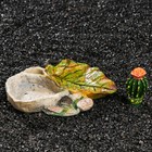 Кормушка для террариума, 14,5 х 13 х 7 см - Фото 4