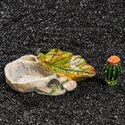 Кормушка для террариума, 14.5×13×7 см - Фото 5