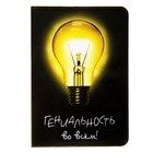 Обложка для паспорта "Гениальность во всем" - Фото 1