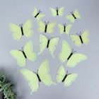 Магнит пластик "Бабочки двойные крылья - блеск" светло-зелёный набор 12 шт - Фото 1