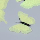 Магнит пластик "Бабочки двойные крылья - блеск" светло-зелёный набор 12 шт - Фото 2