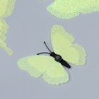 Магнит пластик "Бабочки двойные крылья - блеск" светло-зелёный набор 12 шт - фото 6505005