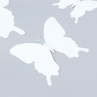 Магнит пластик "Бабочки двойные крылья" белый набор 12 шт - фото 6505007