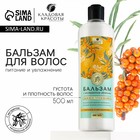 Бальзам для волос с экстрактом облепихи, питание и увлажнение, 500 мл, КЛАДОВАЯ КРАСОТЫ - Фото 1