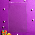 Пакет БОПП с клеевым клапаном, прозрачный для фасовки и упаковки, 20×30/4.5 см, 30 мкм 6912428