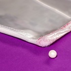 Пакет БОПП с клеевым клапаном, прозрачный для фасовки и упаковки, 20×30/4.5 см, 30 мкм 6912428