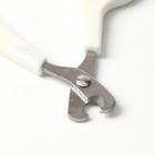 Ножницы-когтерезы с упором для пальца, отверстие 6 мм, белые с чёрным - Фото 3