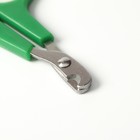 Ножницы-когтерезы с упором для пальца, отверстие 6 мм, зелёные с белым - Фото 2
