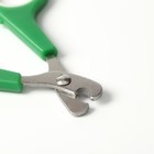 Ножницы-когтерезы с упором для пальца, отверстие 6 мм, зелёные с белым - фото 6505508