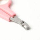 Набор по уходу за когтями: ножницы-когтерезы (отверстие 6 мм) и пилка, розовый с белым - фото 6505519