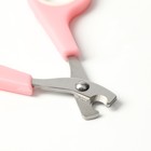 Набор по уходу за когтями: ножницы-когтерезы (отверстие 6 мм) и пилка, розовый с белым - Фото 3