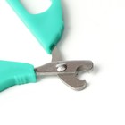 Ножницы-когтерезы малые с упором для пальца, зелёные - Фото 3