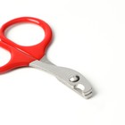 Ножницы-когтерезы с прорезиненными ручками, отверстие 6 мм, красные - фото 6505536