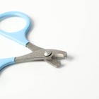 Ножницы-когтерезы с прорезиненными ручками, отверстие 6 мм, голубые - Фото 3