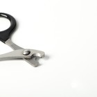 Ножницы-когтерезы с прорезиненными ручками, отверстие 6 мм, чёрные - Фото 3