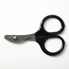 Ножницы-когтерезы с прорезиненными ручками, отверстие 6 мм, чёрные - Фото 6