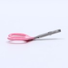 Ножницы-когтерезы изогнутые с прорезиненными ручками, отверстие 6 мм, розовые - фото 7711737