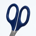 Ножницы-когтерезы изогнутые с прорезиненными ручками, отверстие 6 мм, тёмно-синие - Фото 3