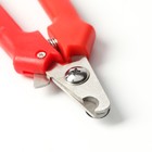 Когтерез боковой малый с прямыми ручками, отверстие 9 мм, красный - Фото 2