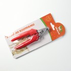 Когтерез боковой малый с прямыми ручками, отверстие 9 мм, красный - фото 6505591