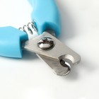 Когтерез боковой малый с закругленными резиновыми ручками,отверстие 8 мм,чёрный с голубым - Фото 3