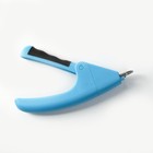 Когтерез-гильотина с нескользящей ручкой, корпус пластик, отверстие 9 мм, голубой с серым - фото 6505722