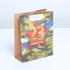 Пакет подарочный крафтовый, упаковка, «Красная звезда», 12 х 15 х 5,5 см - фото 318713307