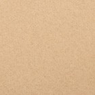 Плед флисовый «Экономь и Я», бежевый, 150×180 см, плотность 160 г/м² - Фото 2