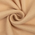 Плед флисовый «Экономь и Я», бежевый, 150×180 см, плотность 160 г/м² - Фото 4