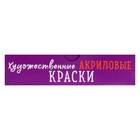 Краска акрил набор 12цв*20мл Calligrata Художесвенная (морозостойкая), в кар.коробке - Фото 4