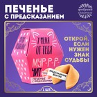 Печенье с предсказанием «У меня от тебя мурчит», 1 шт. 7332419 - фото 9477435