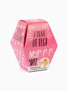 Печенье с предсказанием «У меня от тебя мурчит», 1 шт. - Фото 2