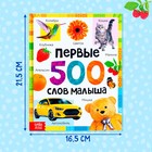 Книга в твёрдом переплёте «Первые 500 слов малыша», 80 стр. - фото 3741472