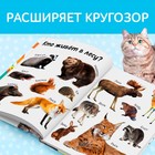 Книга в твёрдом переплёте «Первые 500 слов малыша», 80 стр. - Фото 5