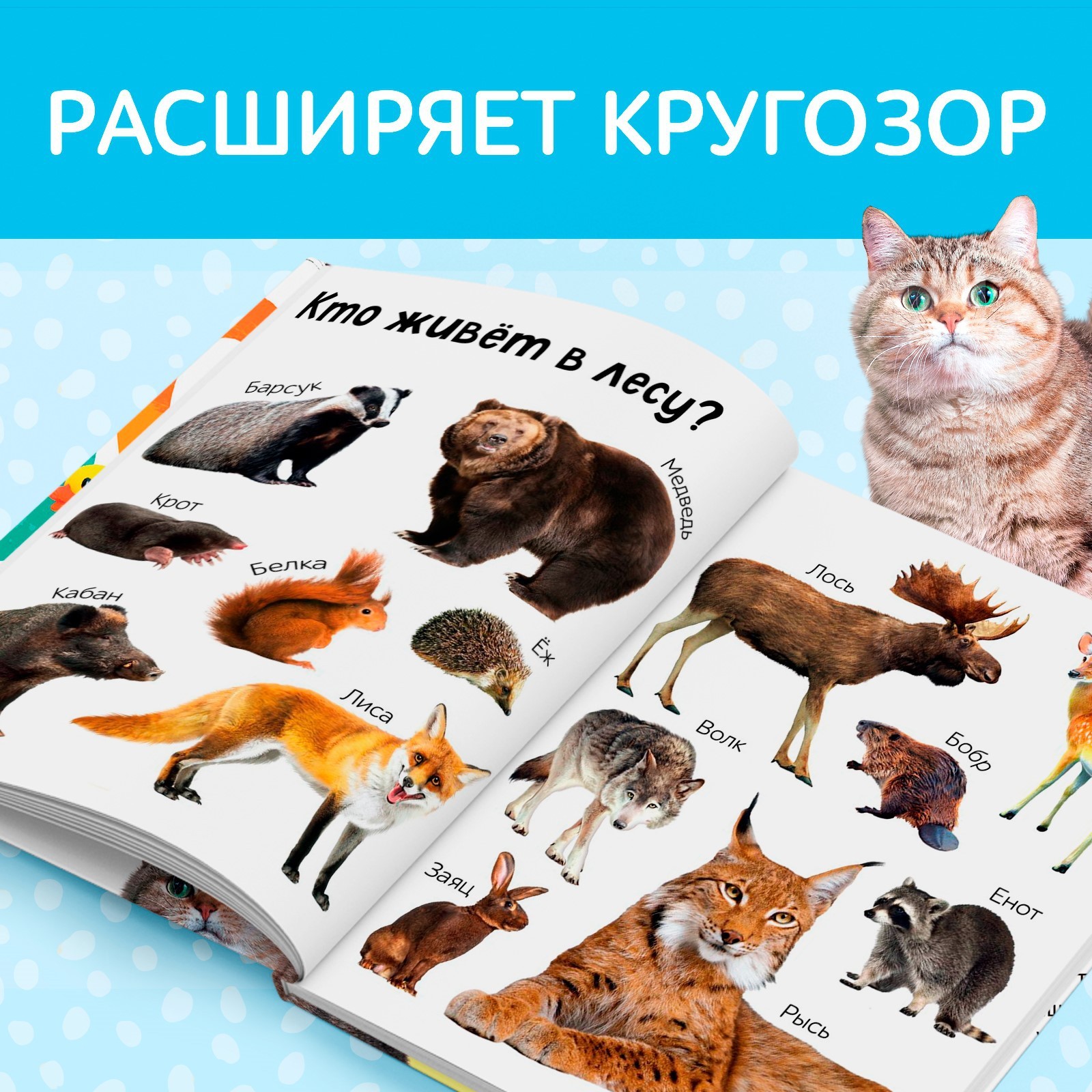 Книга в твёрдом переплёте «Первые 500 слов малыша», 80 стр. (7338844) -  Купить по цене от 321.00 руб. | Интернет магазин SIMA-LAND.RU