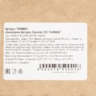 Шоколадная фигурка «Самолёт», 55 г - Фото 2