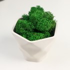 Кашпо бетонное "Фантазия" со мхом высота 9 см белое (мох зеленый стабилизированный) - фото 24237739