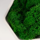 Кашпо бетонное "Фантазия" со мхом высота 9 см белое (мох зеленый стабилизированный) - фото 24237740