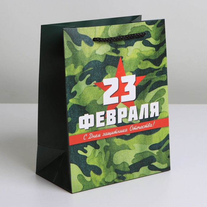 Пакет подарочный ламинированный, упаковка, «Звезда», MS 18 х 23 х 10 см