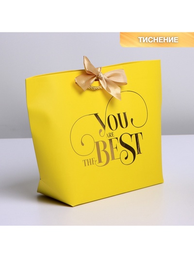 Пакет подарочный, упаковка, «You are the best», 19 х 20 х 9 см