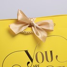 Пакет подарочный, упаковка, «You are the best», 19 х 20 х 9 см - фото 6505973
